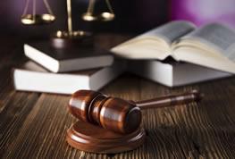 二十年深耕・极致专业